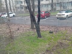 Titan, Restaurant Alba