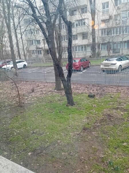 Titan, Restaurant Alba,