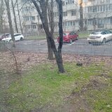 Titan, Restaurant Alba